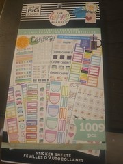 The Happy Planner Essential Planning Sticker Sheets 1009 Pieces -used