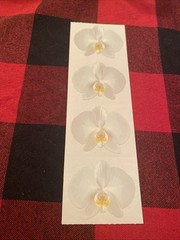 Mrs. Grossman’s White Orchid Stickers Scrapbooking Cardmaking