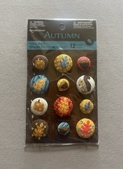 Set Of 12 Assorted Sized “Autumn” Themed Fabric Brads~1” To 1/2”, New In Package