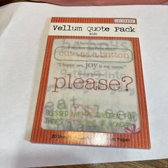 Junk Journal/Scrapbooking Lot of 9 stickers, velum, crystals, words