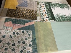 Scrapbook Paper 8 Lbs Over 180 12″ x 12″ Sheets Magnolia Jane, Stampin Up