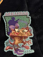 Looney Tunes Sticker USA States 24 Different Stickers Bugs, Taz Foghorn READ