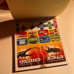 Beetle and Stag Beetle Japanese Stickers book 275 Stickers Shogakkan Neo