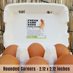 100 Pack Fresh Farm Eggs Handling Instructions Stickers Labels Care Accessor…