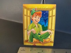 Disney Sticker PETER PAN Prism Vending Machine Sticker RARE HTF