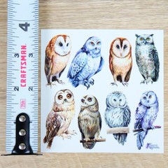 Violette Stickers – Real Owls – 1 Owl Sticker Sheet – Scrapbooks Stationery