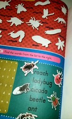 Lots Of Animals Big & Small. Sticker Book My First Book Of Stickers. 100 Sticker