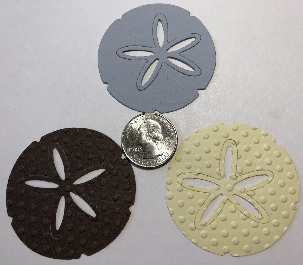 LG. SAND DOLLAR Die-Cuts(6pc)Beach •Shells•Ocean•Star•Sea•Shore•Sand Creatures