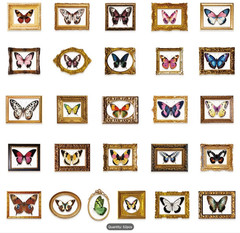 52 Unique Vintage Butterfly Photo Frame Stickers @ 2″x2.5″