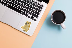 Doge Meme Sticker – Funny Shiba Inu Vinyl Decal for Laptop, Water Bottle, Gift