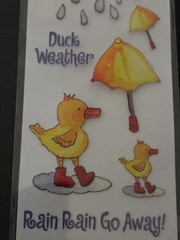Vintage 2005 Jolees Boutique Duck Weather Dimensional Stickers EK Success New