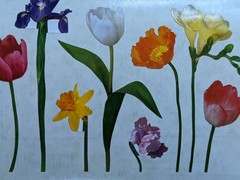 Vintage 1998 Mrs Grossman’s Floral Flowers Spring Sticker Mod Tulip Iris Daffodi