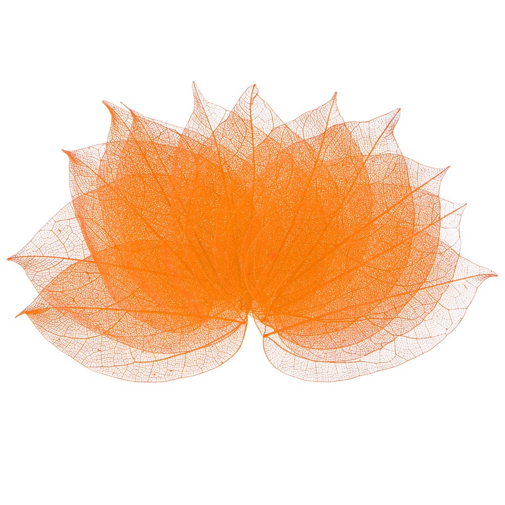 100-Pack Skeleton Leaves, Natural Rubber Tree Leaves Vein[7-9cm, Orange]