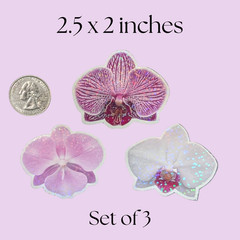 Orchid Flower Stickers Set 3 Holographic Waterproof Vinyl Purple Laptop Planner