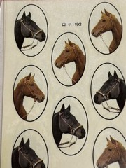 VTG BSB Schmuck-Aufkleber Horse Horses Sticker Pack Western Germany