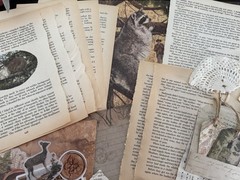 Nature Ephemera Pack Vintage Book Pages Junk Journal Kit Paper Bundle