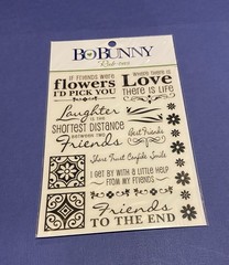 Bo Bunny Rub-ons “Best Friends” #RBB824 NEW-Sentiments-Black Lettering & Designs