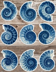 Blue Fossil Die Cut Vinyl Stickers Scrapbooking Laptop Waterbottle