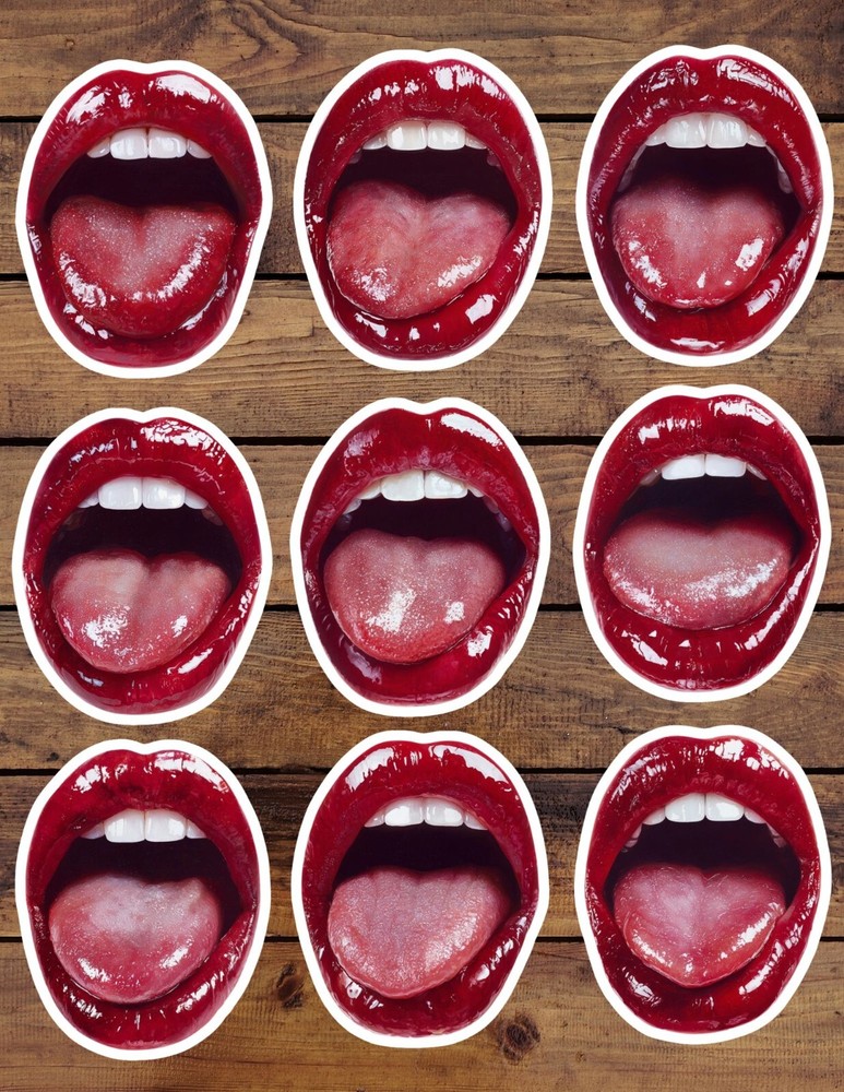 Open Mouth Die Cut Vinyl Stickers Set Scrapbooking Laptop Water Bottle
