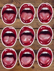 Open Mouth Die Cut Vinyl Stickers Set Scrapbooking Laptop Water Bottle