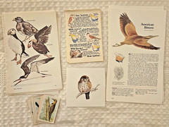 LOT 100 pc Vtg Animals Birds Book Plates Ephemera Pack Junk Journal Scrapbooking