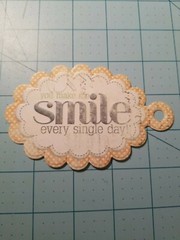 Scrapbooking 3 Mixed Items: «One Of A Kind» Tag, «Smile» Diecut & Ribbon – NEW