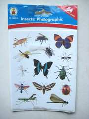 Vintage Carson-Dellosa Lot of 3 pack Shape Stickers New / Sealed