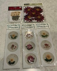 NEW LOT DRIED FLOWER STICKERS- VICTORIA’S GARDEN, DARICO, PLUS ASHLAND
