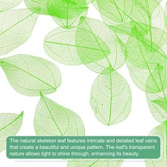 100-Pack Skeleton Leaves, Natural Rubber Tree Leaves Vein[4-6cm, Green]