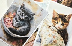 Kitten Journal Cards Set of 8
