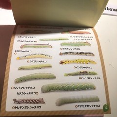 Japanese Caterpillar Stickers book 250 Stickers Shogakkan NEO