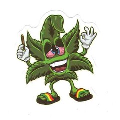 Stickers for Water Bottles, 420 Stickers for Teens Adults, Vinyl Waterproof