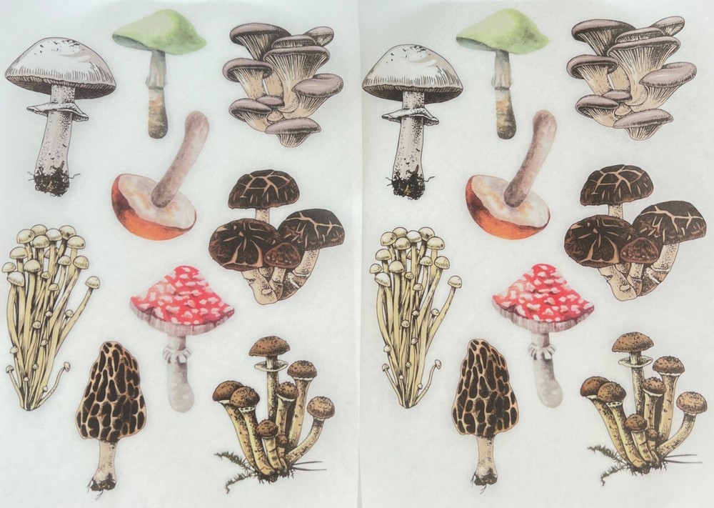 🦋2Lg MUSHROOM STICKERS Vintage NATURE Art Flower WILDFLOWER Junk Journal FLORAL