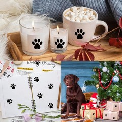 Paw Stickers, Clear Paw Prints Stickers, 500 Pcs 1 Inch Puppy Dog Paw Sticker…