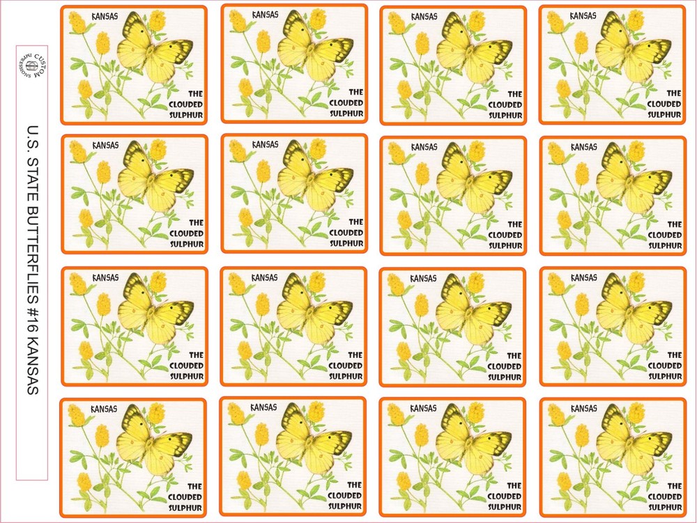LOUISIANA STATE BUTTERFLY – THE CREOLE PEARLY EYE SIZE 2.5″ X 2″ – 16 PER SHEET