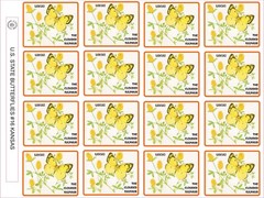 LOUISIANA STATE BUTTERFLY – THE CREOLE PEARLY EYE SIZE 2.5″ X 2″ – 16 PER SHEET