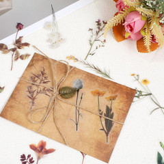 120 Pcs Transparent Flower Stickers for Scrapbooking PET Nature Plant Floral