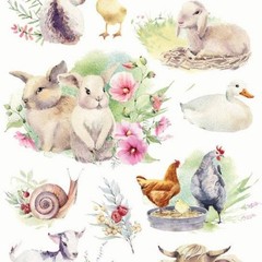 Violette Stickers – Baby Farm Animals – 1 Spring Sticker Sheet – Planners Crafts