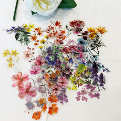 Natural Flower Stickers for Scrapbook, Self-Adhesive Clear Wildflower Plant