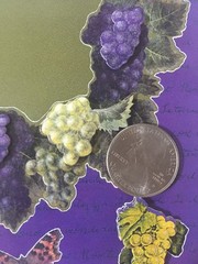 GRAPEVINE 3-D Dimensional FRAME(7pc)The Paper Studio Leaves•Grapes•Stamps•Nature