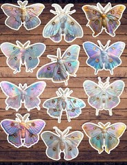 Holographic Moth Die Cut Vinyl Stickers Set Scrapbooking Laptop Waterbottle
