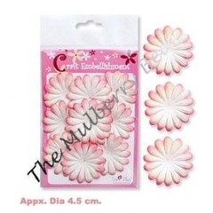 10 Flowers flower petals Apricot Peach Salmon handmade mulberry paper Daisy