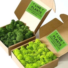 Green Live Plants Stickers for Shipping 2×3 inch Please Handle with Love Stic…