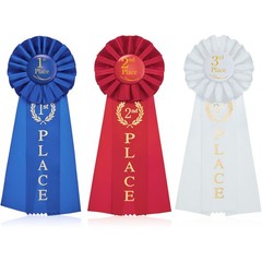9 PCS Award Ribbons Set 1st 2nd 3rd Place Rosette Prize Winner Recognition