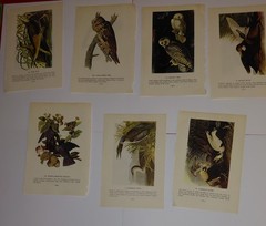 120+ Scrapbooking Junk Journal Ephemera Stickers Music Christmas Audubon Birds