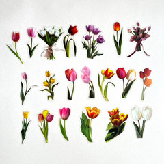 Tulip Stem Stickers Spring Easter Junk Journal Collage Scrapbooking