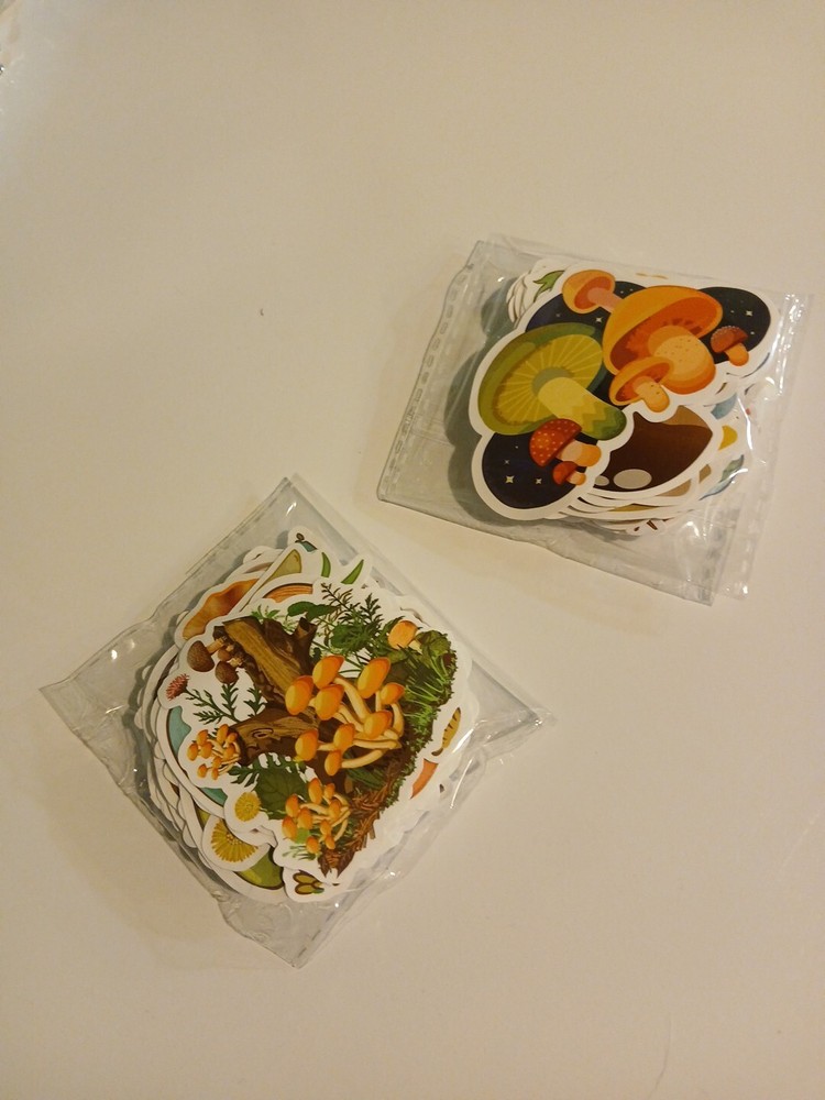 100 Pc Mushroom Sticker Set