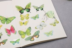 Butterfly sticker | butterflies nature green insect themed PET plastic