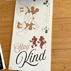 The Happy Planner – Disney – Mickey and Minnie Mouse Calendar Stickers