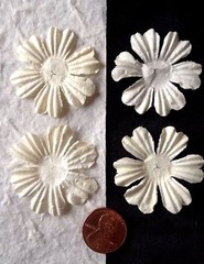 10 Flowers flower Cream petals Off White Handmade Mulberry Paper wedding baptism